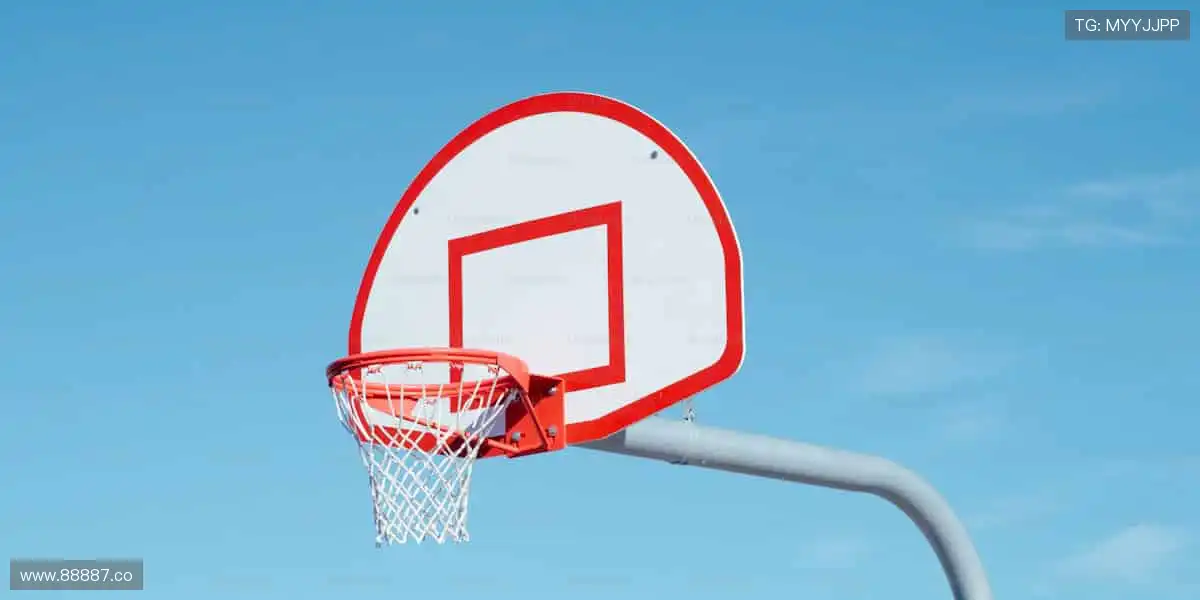 🎯精准数据，深度解析赛事背后的故事！